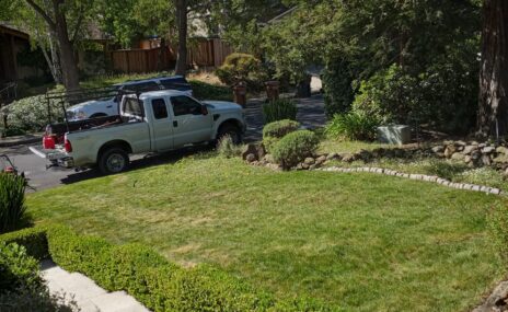 Lafayette Front Yard Artificial Turf & Landscape Renovation