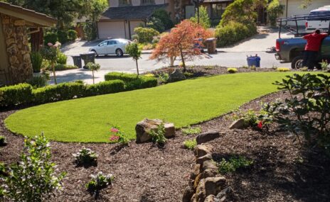Lafayette Front Yard Artificial Turf & Landscape Renovation