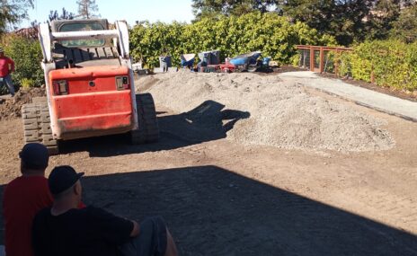 Walnut Creek Artificial Turf Backyard Upgrade