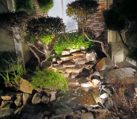 gallery-img-1