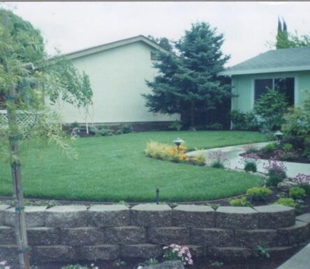 gallery-img-1