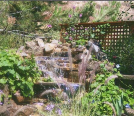 gallery-img-1