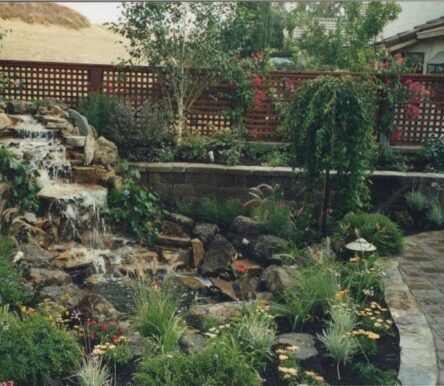 gallery-img-1