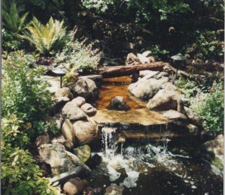 gallery-img-1