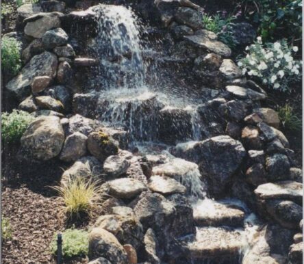 gallery-img-1