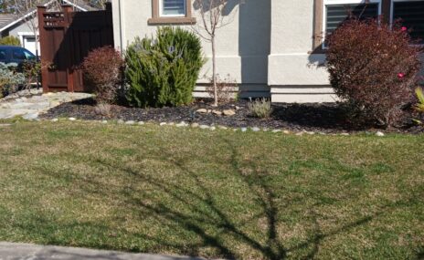 Livermore Front Yard Landscape Design & Water Feature Installation