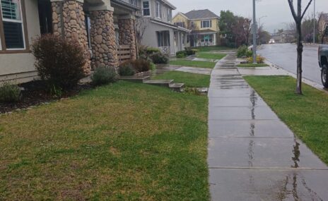 Livermore Front Yard Landscape Design & Water Feature Installation