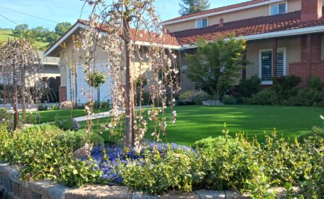 Martinez Front Yard Paver Driveway & Artificial Turf Installation