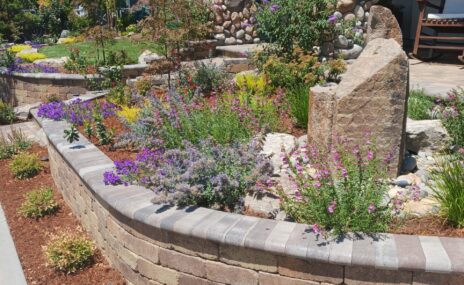 Livermore Front Yard Landscape Design & Water Feature Installation