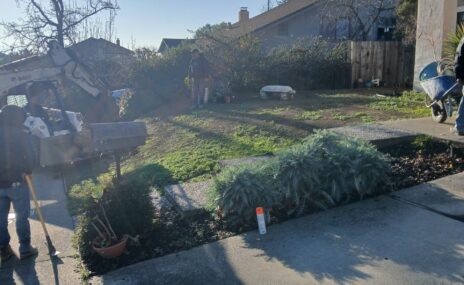 Benicia Front Yard Terraced Landscape & Sod Installation