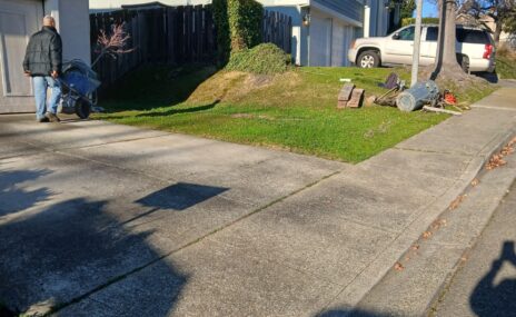 Benicia Front Yard Terraced Landscape & Sod Installation