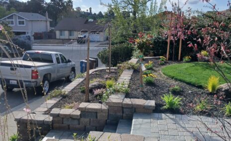 Benicia Front Yard Terraced Landscape & Sod Installation