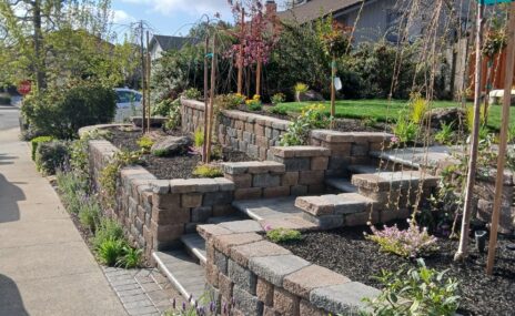Benicia Front Yard Terraced Landscape & Sod Installation