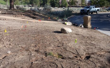 Full Property Landscape Design & Outdoor Living Installation in Reno, Nevada