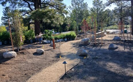 Full Property Landscape Design & Outdoor Living Installation in Reno, Nevada