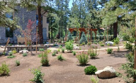 Full Property Landscape Design & Outdoor Living Installation in Reno, Nevada