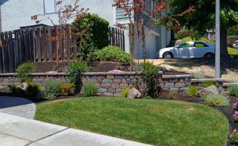 Benicia Front Yard Terraced Landscape & Sod Installation