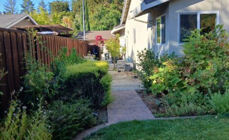 Martinez Backyard Outdoor Living Space with Arbor & Water Feature