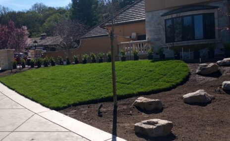 Danville Front Yard Grading, Irrigation & Landscape Installation