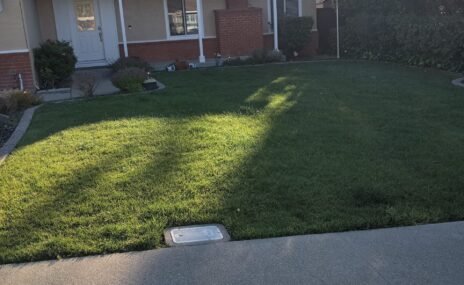 Martinez Front Yard Paver Driveway & Artificial Turf Installation
